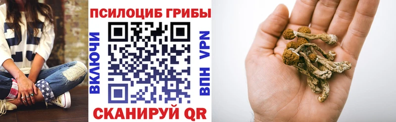 Галлюциногенные грибы Cubensis  Купить где  Ковылкино 